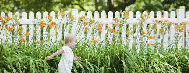 10 Awesome Fence Ideas To Enhance Your Landscaped Garden