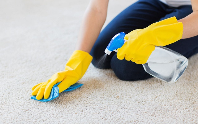 10 Top Proven Carpet Cleaning Tips And Tricks